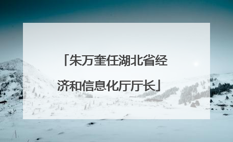 朱万奎任湖北省经济和信息化厅厅长