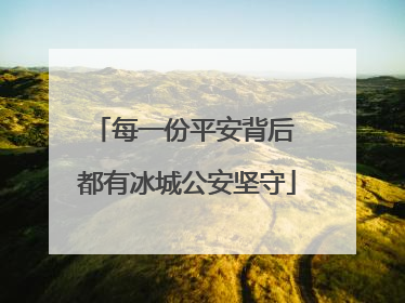 每一份平安背后 都有冰城公安坚守