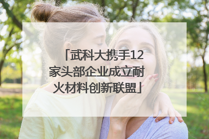 武科大携手12家头部企业成立耐火材料创新联盟