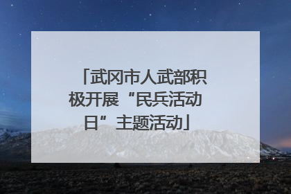 武冈市人武部积极开展“民兵活动日”主题活动