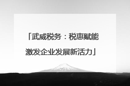 武威税务：税惠赋能 激发企业发展新活力