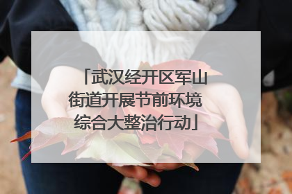 武汉经开区军山街道开展节前环境综合大整治行动