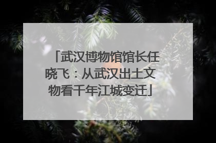 武汉博物馆馆长任晓飞：从武汉出土文物看千年江城变迁