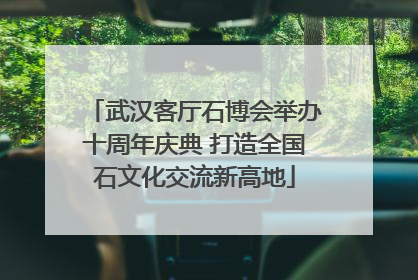 武汉客厅石博会举办十周年庆典 打造全国石文化交流新高地