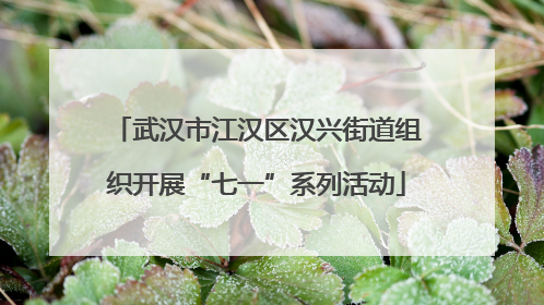 武汉市江汉区汉兴街道组织开展“七一”系列活动