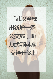 武汉至鄂州新增一条公交线，助力武鄂同城交通升级