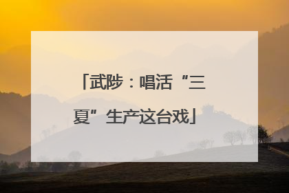 武陟：唱活“三夏”生产这台戏