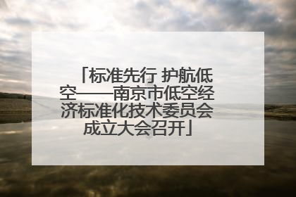 标准先行 护航低空——南京市低空经济标准化技术委员会成立大会召开