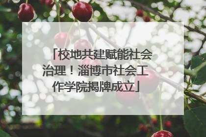 校地共建赋能社会治理！淄博市社会工作学院揭牌成立