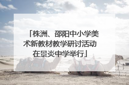 株洲、邵阳中小学美术新教材教学研讨活动在景炎中学举行