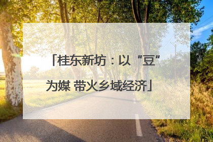 桂东新坊：以“豆”为媒 带火乡域经济
