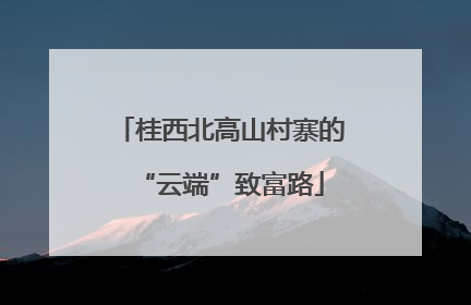 桂西北高山村寨的“云端”致富路