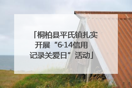桐柏县平氏镇扎实开展“6·14信用记录关爱日”活动