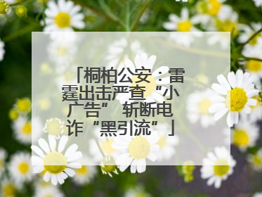 桐柏公安：雷霆出击严查“小广告” 斩断电诈“黑引流”