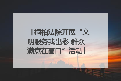 桐柏法院开展“文明服务我出彩 群众满意在窗口”活动