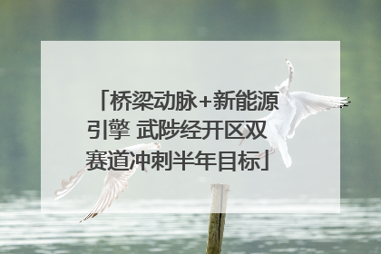 桥梁动脉+新能源引擎 武陟经开区双赛道冲刺半年目标
