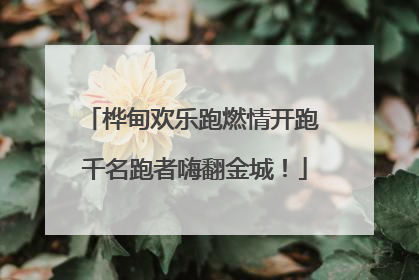 桦甸欢乐跑燃情开跑 千名跑者嗨翻金城！