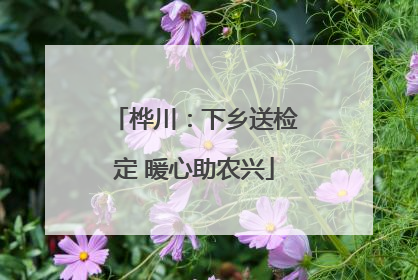 桦川：下乡送检定 暖心助农兴