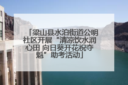 梁山县水泊街道公明社区开展“清凉饮水润心田 向日葵开花祝夺魁”助考活动