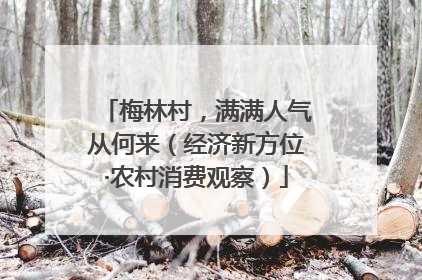 梅林村，满满人气从何来（经济新方位·农村消费观察）