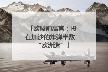 欧盟前高官：投在加沙的炸弹半数“欧洲造”