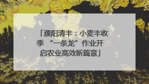 濮阳清丰：小麦丰收季 “一条龙”作业开启农业高效新篇章