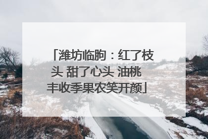潍坊临朐：红了枝头 甜了心头 油桃丰收季果农笑开颜