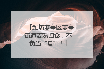 潍坊寒亭区寒亭街道麦熟归仓，不负当“夏”！