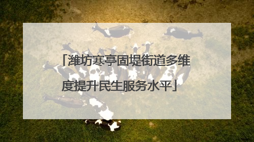 潍坊寒亭固堤街道多维度提升民生服务水平