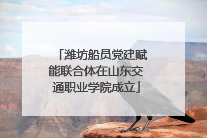 潍坊船员党建赋能联合体在山东交通职业学院成立