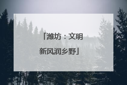 潍坊：文明新风润乡野
