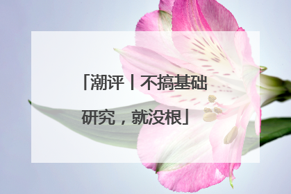 潮评丨不搞基础研究，就没根