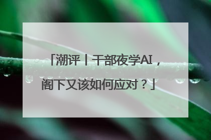 潮评丨干部夜学AI，阁下又该如何应对？