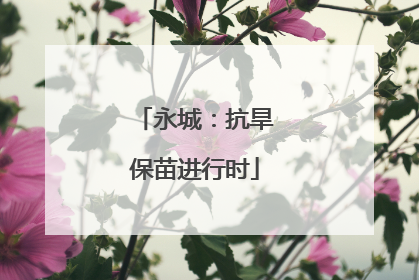 永城：抗旱保苗进行时