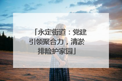 永定街道：党建引领聚合力，清淤排险护家园