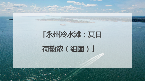永州冷水滩：夏日荷韵浓（组图）