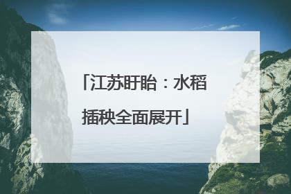 江苏盱眙：水稻插秧全面展开