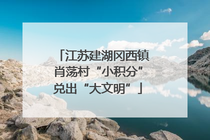 江苏建湖冈西镇肖荡村“小积分”兑出“大文明”