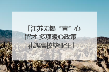 江苏无锡“青”心留才 多项暖心政策礼遇高校毕业生