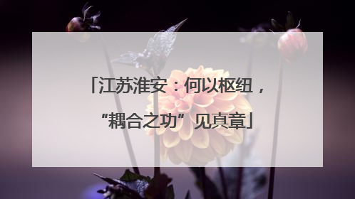 江苏淮安：何以枢纽，“耦合之功”见真章