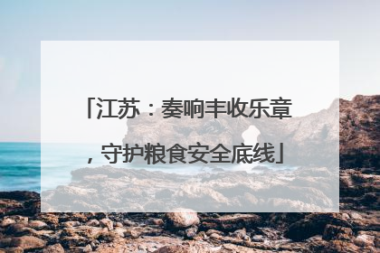 江苏：奏响丰收乐章，守护粮食安全底线