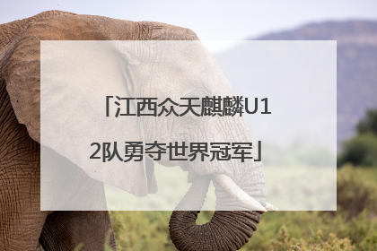 江西众天麒麟U12队勇夺世界冠军