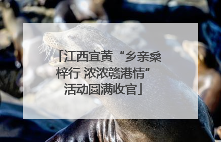 江西宜黄“乡亲桑梓行 浓浓赣港情”活动圆满收官