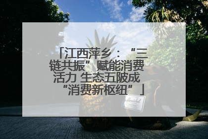 江西萍乡：“三链共振”赋能消费活力 生态五陂成“消费新枢纽”