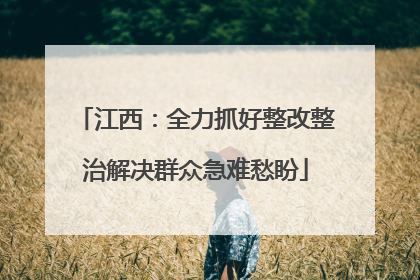 江西：全力抓好整改整治解决群众急难愁盼