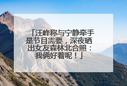 汪峰称与宁静牵手是节目需要，深夜晒出女友森林北合照：我俩好着呢！