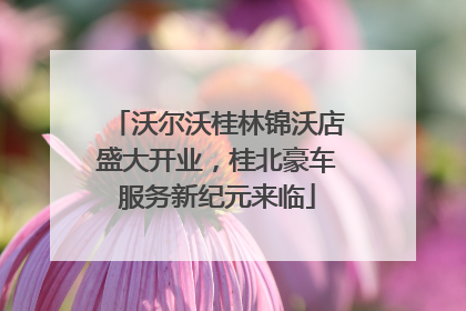 沃尔沃桂林锦沃店盛大开业，桂北豪车服务新纪元来临