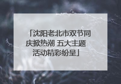 沈阳老北市双节同庆掀热潮 五大主题活动精彩纷呈