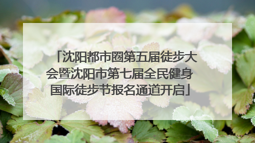 沈阳都市圈第五届徒步大会暨沈阳市第七届全民健身国际徒步节报名通道开启