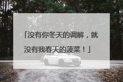 没有你冬天的调解，就没有我春天的菠菜！